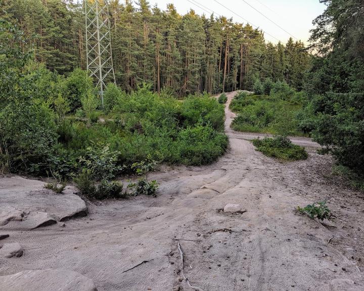 Grüne Oase Tiergarten Nürnberg