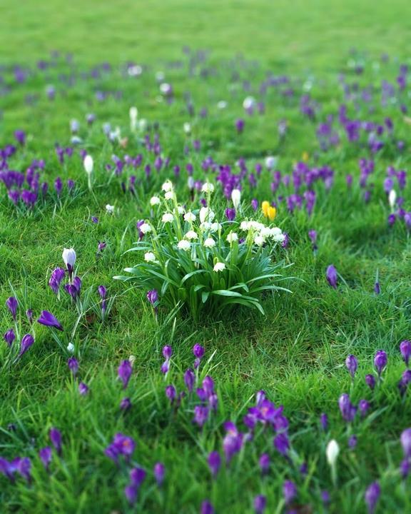 Kastaniengarten